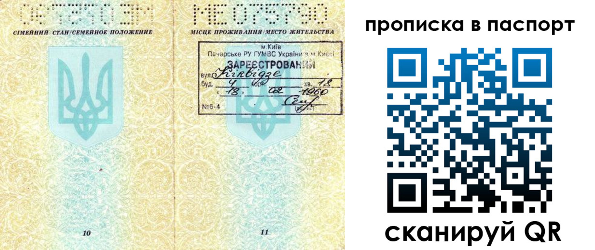 прописка паспорт в Ярославской области